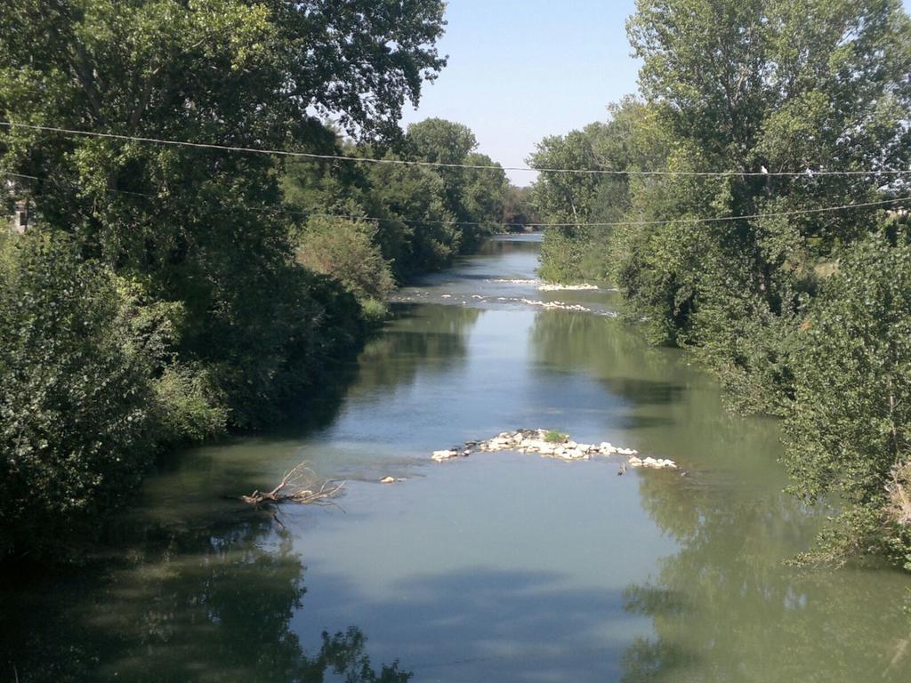 بيتونا River Melody المظهر الخارجي الصورة